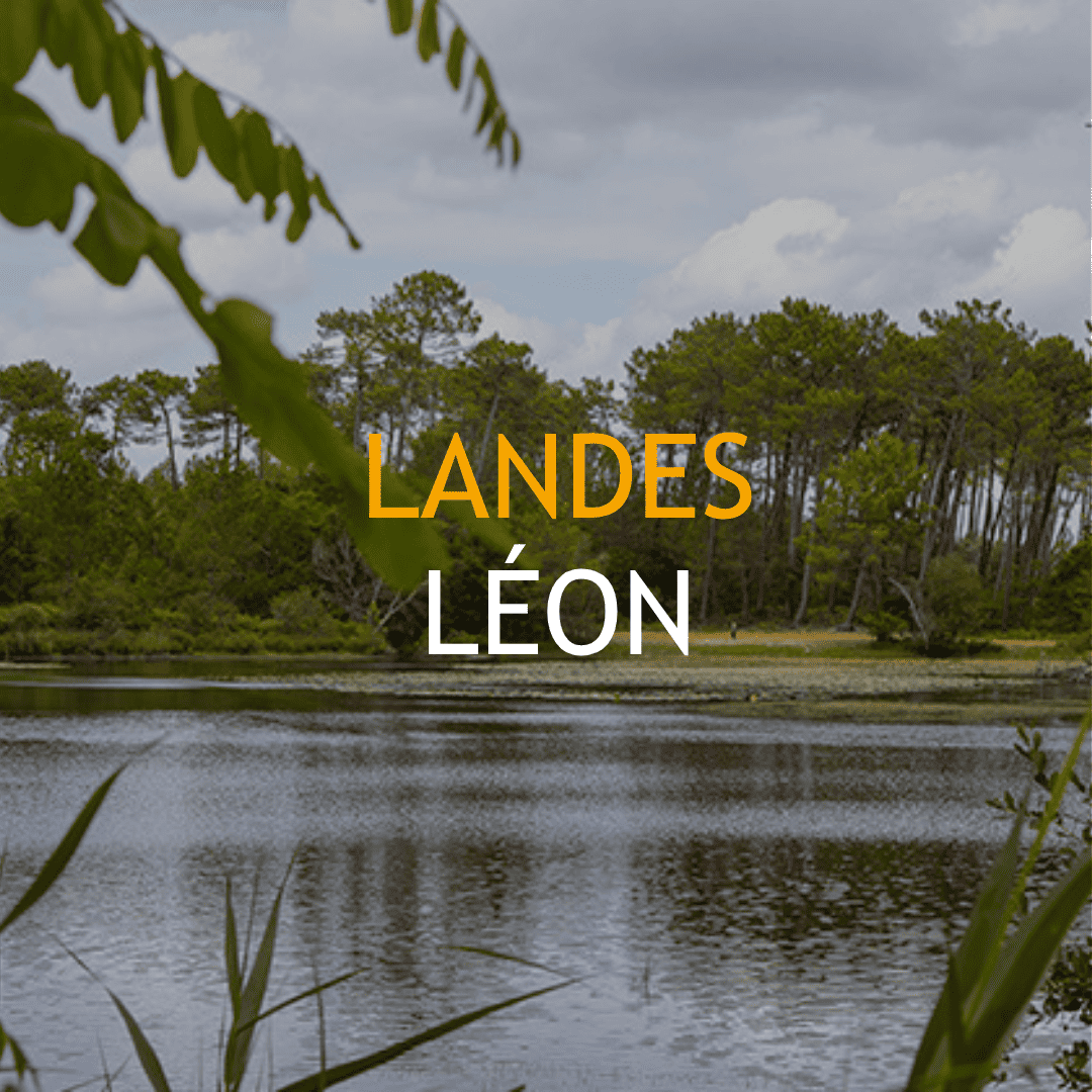 Landes